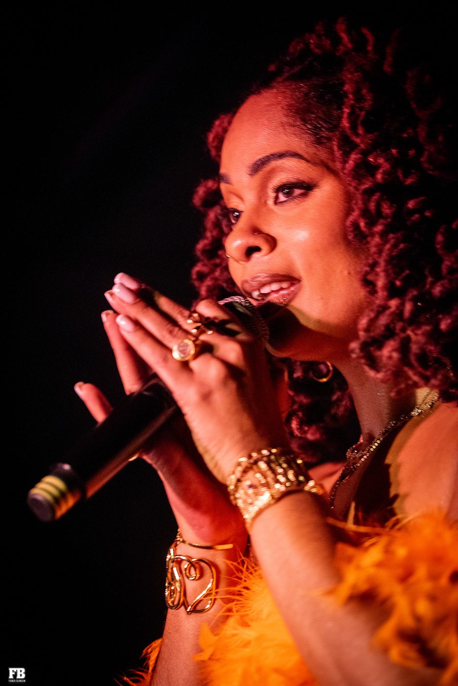 Rachelle Allison, portrait scène